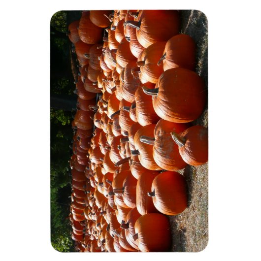 Pumpkin Patch Autumn Harvest Photography Magneet (Verticaal)