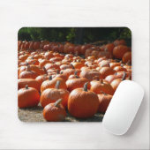 Pumpkin Patch Autumn Harvest Photography Muismat (Met muis)