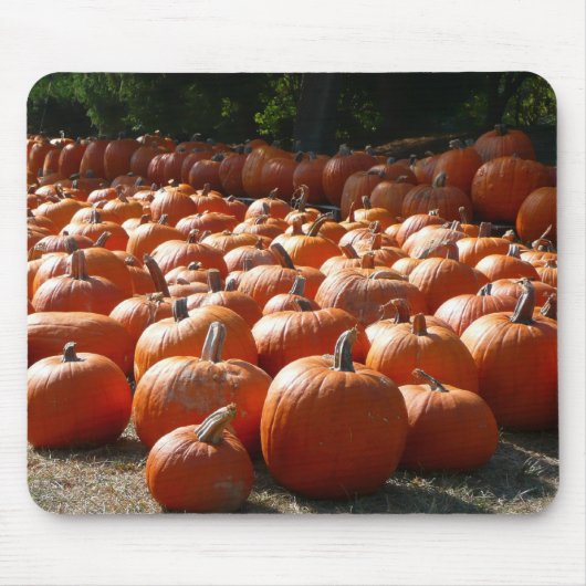 Pumpkin Patch Autumn Harvest Photography Muismat (Voorkant)
