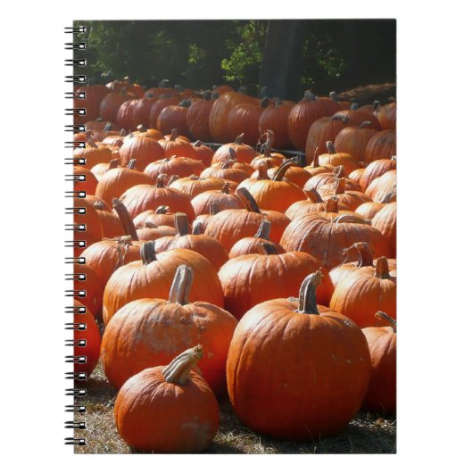Pumpkin Patch Autumn Harvest Photography Notitieboek (Voorkant)