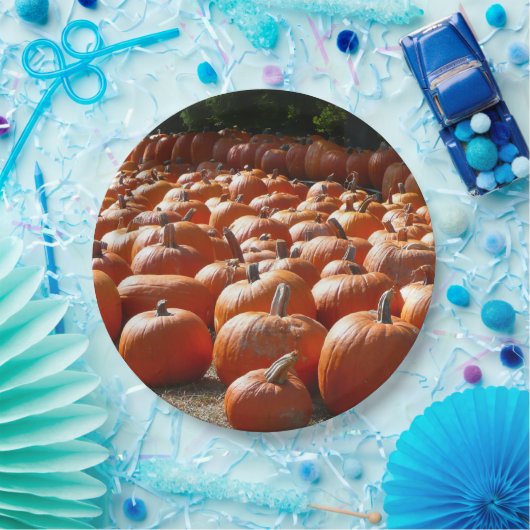 Pumpkin Patch Autumn Harvest Photography Papieren Bordje (Feest)