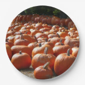 Pumpkin Patch Autumn Harvest Photography Papieren Bordje (Voorkant)