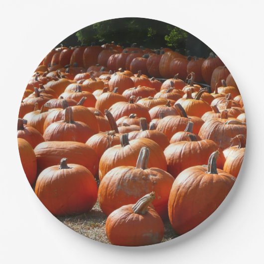 Pumpkin Patch Autumn Harvest Photography Papieren Bordje (Voorkant)
