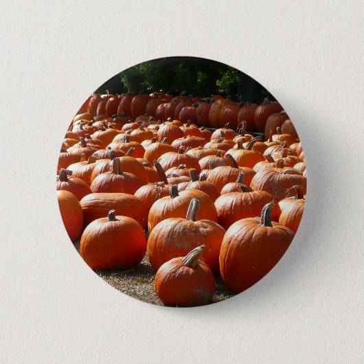 Pumpkin Patch Autumn Harvest Photography Ronde Button 5,7 Cm (Voorkant)