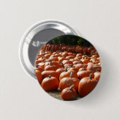 Pumpkin Patch Autumn Harvest Photography Ronde Button 5,7 Cm (Voorkant /achterkant)