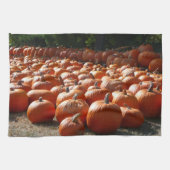 Pumpkin Patch Autumn Harvest Photography Theedoek (Horizontaal)