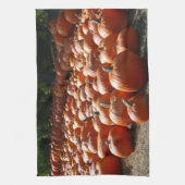 Pumpkin Patch Autumn Harvest Photography Theedoek (Verticaal)