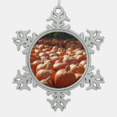 Pumpkin Patch Autumn Harvest Photography Tin Sneeuwvlok Ornament (Voorkant)