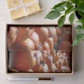 Pumpkin Patch Autumn Harvest Photography Tissuepapier (Geschenk)