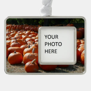 Pumpkin Patch Autumn Harvest Photography Verzilverd Omlijst Ornament