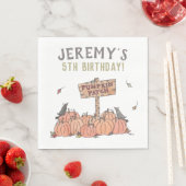 Pumpkin Patch Birthday Servet (Insitu)