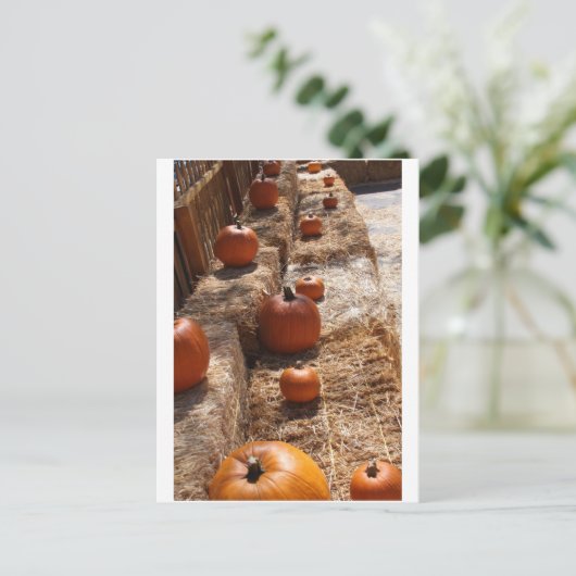 Pumpkin Patch Briefkaart (Staand voorkant)