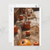 Pumpkin Patch Briefkaart (Voorkant / Achterkant)