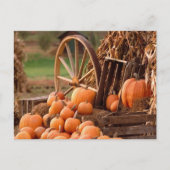 Pumpkin Patch Briefkaart (Voorkant)
