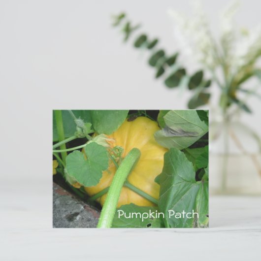 Pumpkin Patch Briefkaart (Staand voorkant)