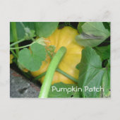Pumpkin Patch Briefkaart (Voorkant)
