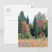 Pumpkin Patch Briefkaart (Voorkant / Achterkant)