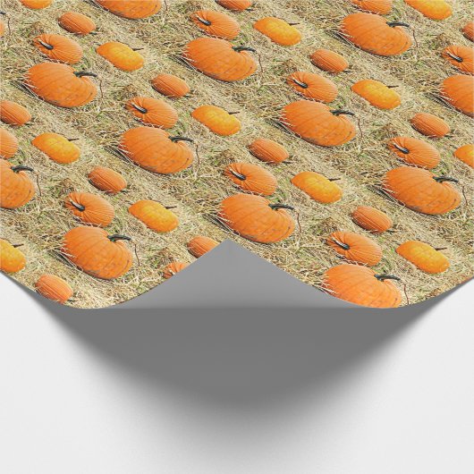 Pumpkin Patch Cadeaupapier (Hoek)