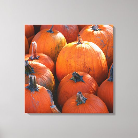 Pumpkin Patch Canvas Afdruk (Voorkant)