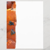 Pumpkin Patch Flyer (Achterkant)