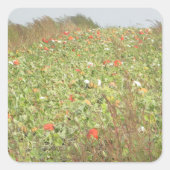 Pumpkin Patch Halloween Stickers (Voorkant)