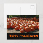 Pumpkin Patch Happy Halloween Briefkaart (Voorkant / Achterkant)