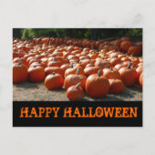 Pumpkin Patch Happy Halloween Briefkaart (Voorkant)