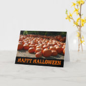 Pumpkin Patch Happy Halloween Kaart (Gele Bloem)
