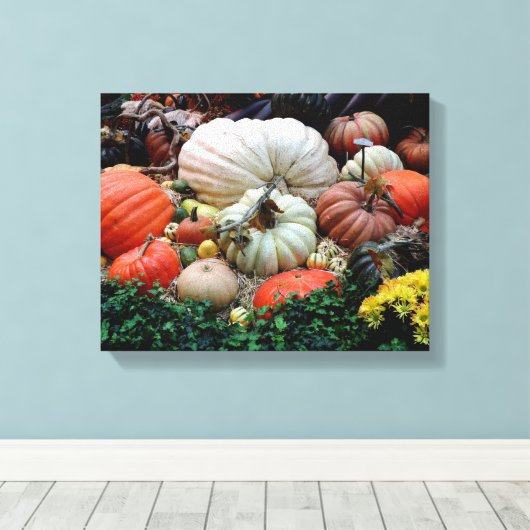 Pumpkin Patch Harvest Canvas Afdruk (Insitu (Houten vloer))