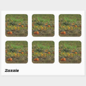 Pumpkin Patch Herfst Autumn Halloween Stickers (Vel)