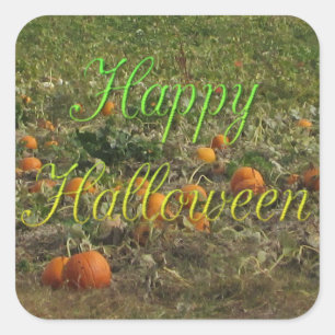 Pumpkin Patch Herfst Autumn Halloween Stickers
