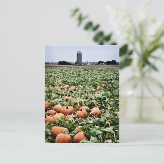 Pumpkin Patch in Lawrence, KS Briefkaart (Staand voorkant)