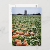 Pumpkin Patch in Lawrence, KS Briefkaart (Voorkant / Achterkant)