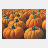 Pumpkin Patch Inpakpapier Vel (Voorkant)