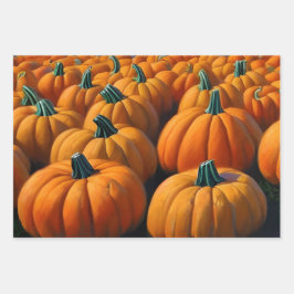 Pumpkin Patch Inpakpapier Vel