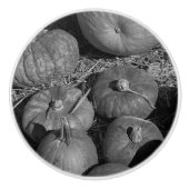 Pumpkin Patch Keramische Knop (Voorkant)