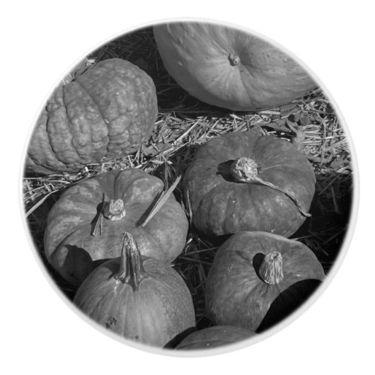 Pumpkin Patch Keramische Knop (Voorkant)