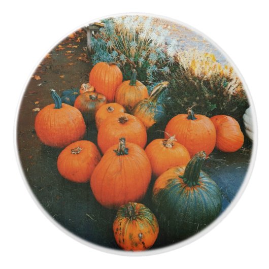 Pumpkin Patch Keramische Knop (Voorkant)