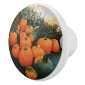 Pumpkin Patch Keramische Knop (Rechts)