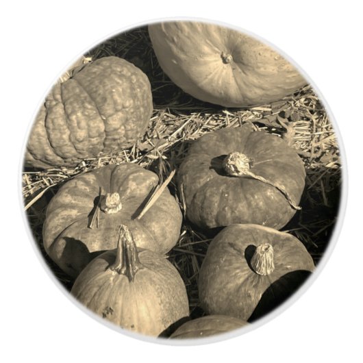 Pumpkin Patch Keramische Knop (Voorkant)