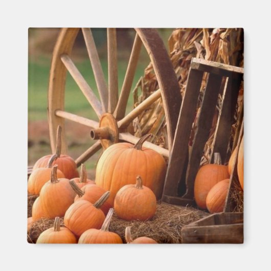 Pumpkin Patch Magneet (Voorkant)