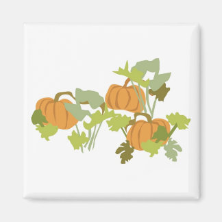 Pumpkin Patch Magneet