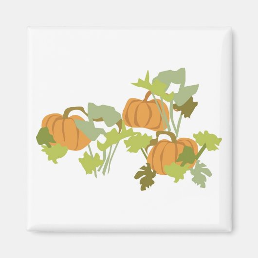 Pumpkin Patch Magneet (Voorkant)