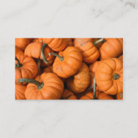 Pumpkin Patch Oranje Harvest Garden Gourds Foto