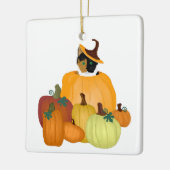 Pumpkin Patch Ornament (Links)