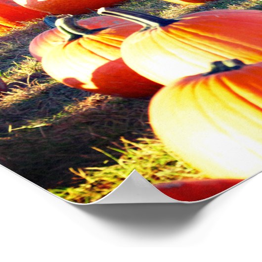 Pumpkin Patch Poster (Hoek)