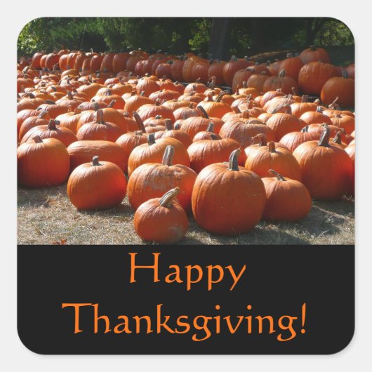 Pumpkin Patch Thanksgiving Sticker (Voorkant)