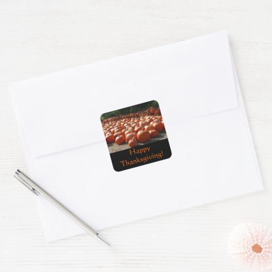 Pumpkin Patch Thanksgiving Sticker (Envelop)