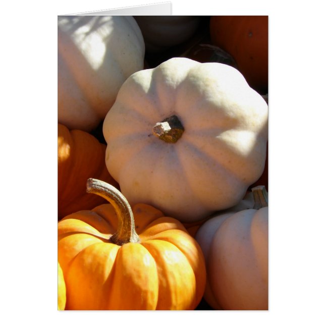 Pumpkin Pile (Voorkant)