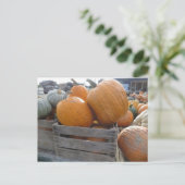 Pumpkin Pile Briefkaart (Staand voorkant)